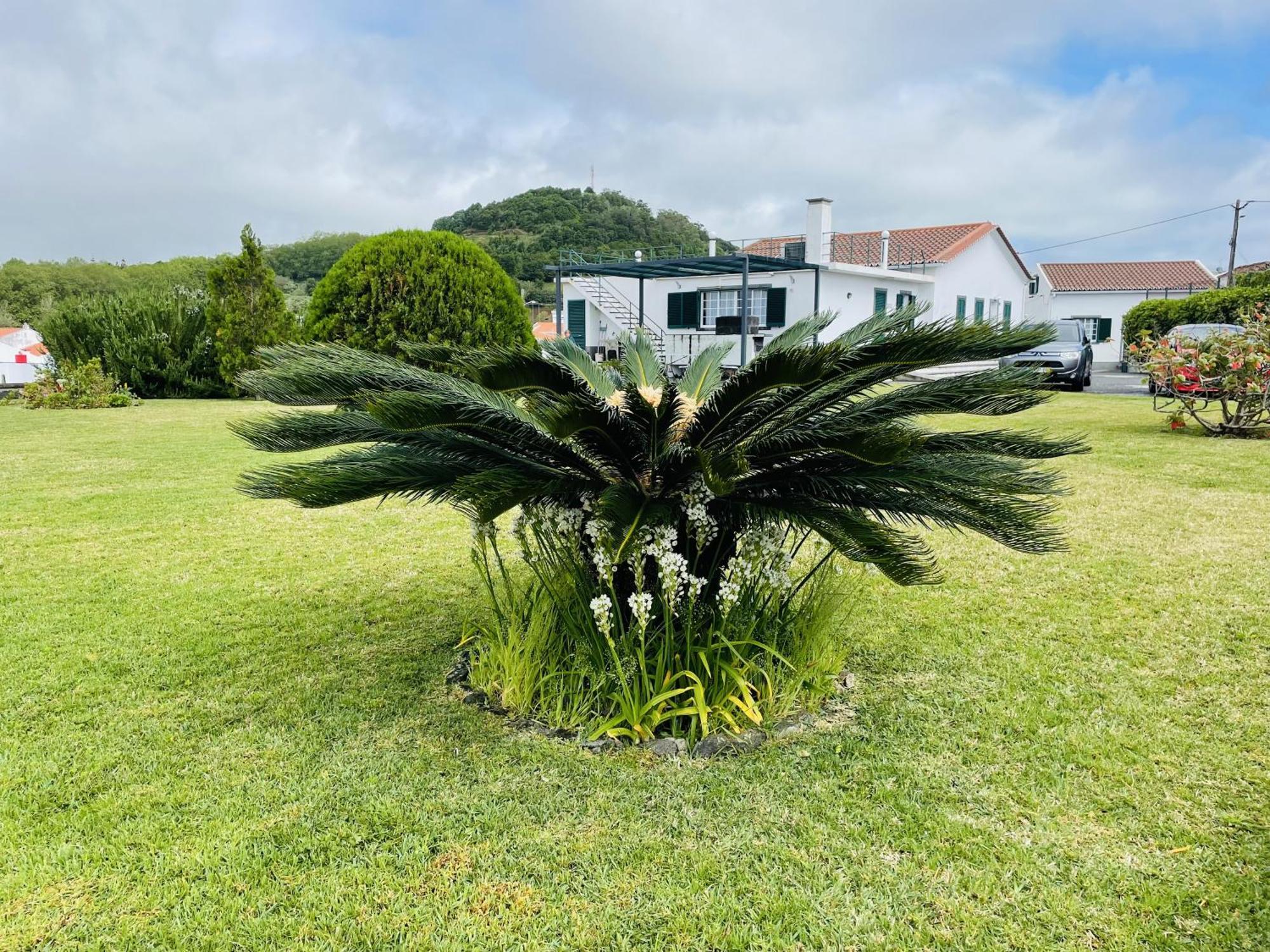 Casa Da Faja Villa Ponta Delgada Dış mekan fotoğraf
